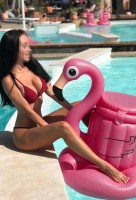 ����������� ���� (�������: 26, �����������
)