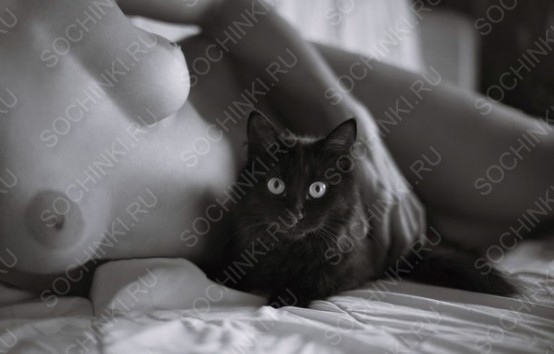 ����������� , ����