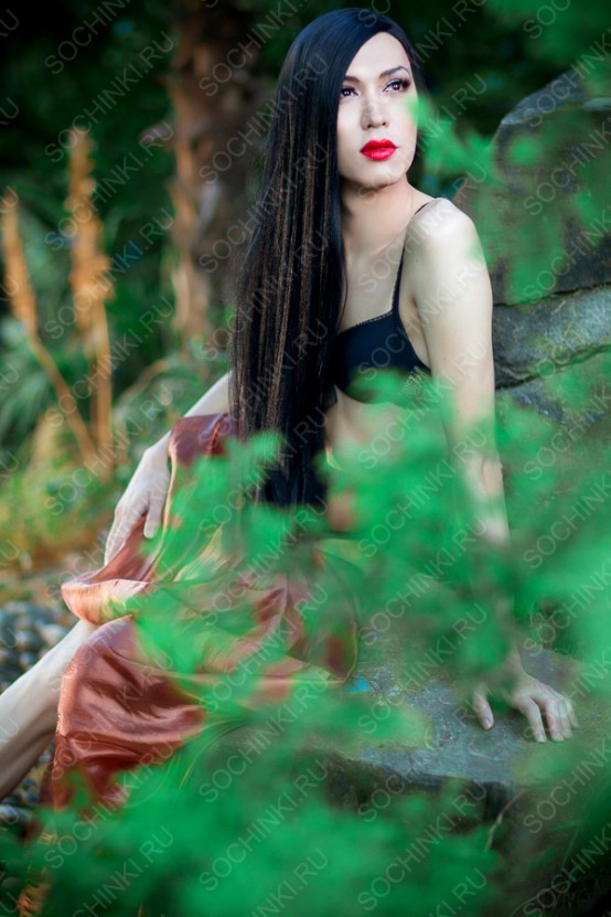 ����������� , ����