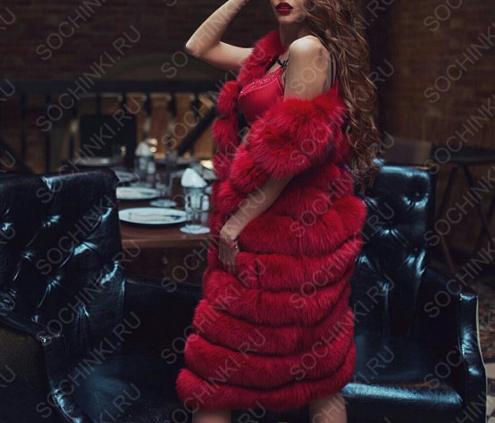 ����������� , ����