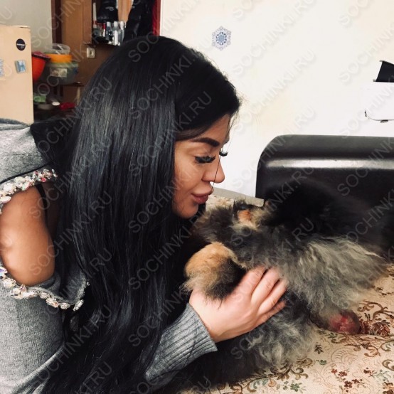 ����������� , ����