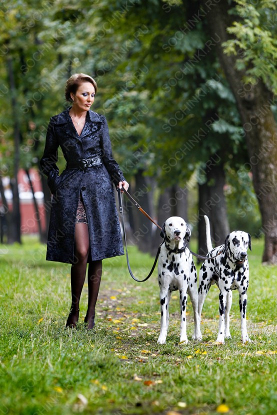 Проститутка , Сочи